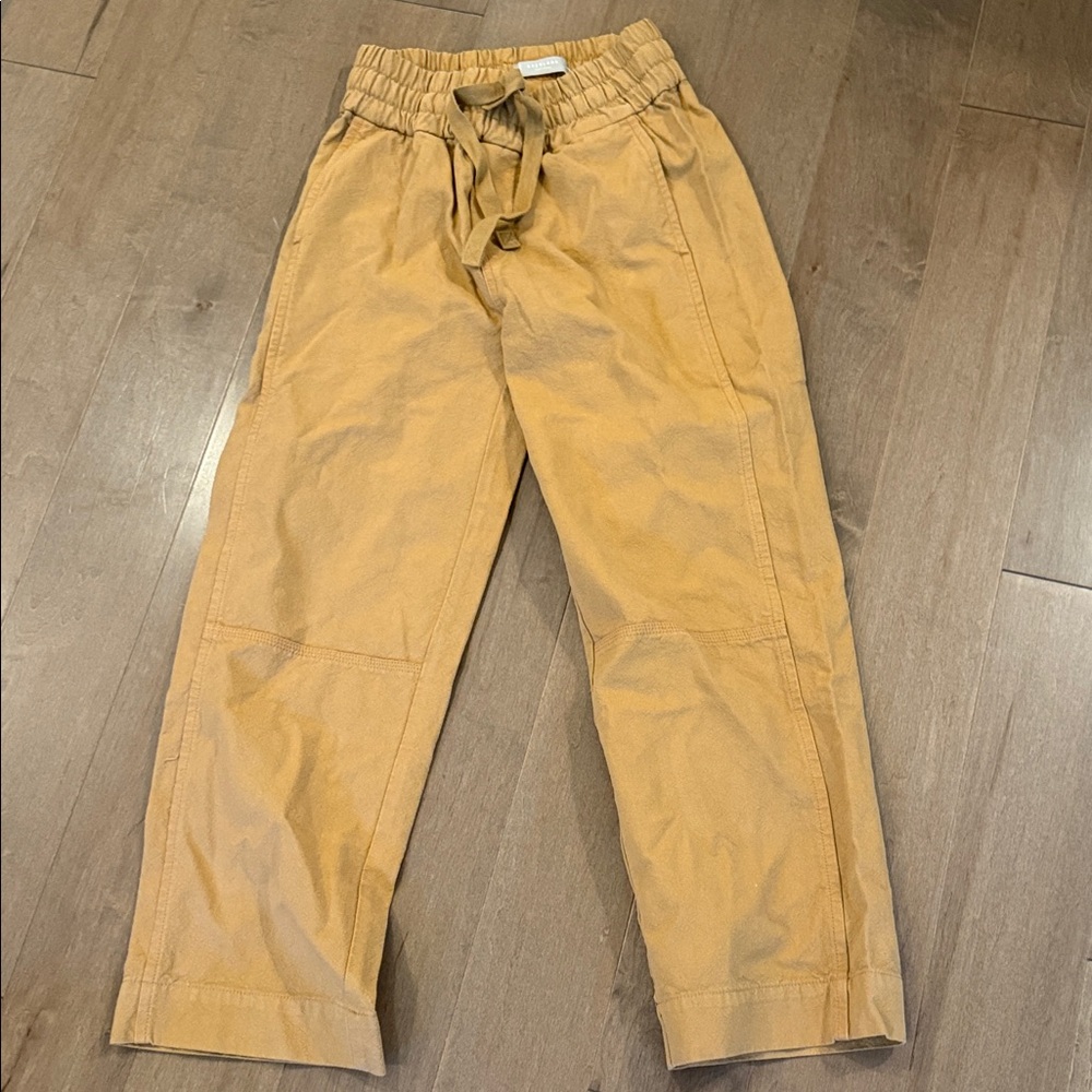 Everlane organic Cotton Tan Casual Pants
